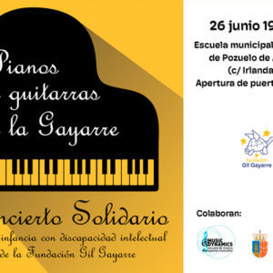 ¡Os esperamos en el concierto solidario "Piano y guitarras a la Gayarre!"